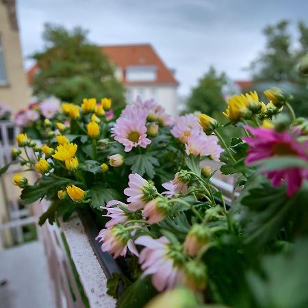 Appartement OTTO - Erfurt Zentrum Exterior foto